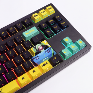 High Quality, Thick PBT Plastic